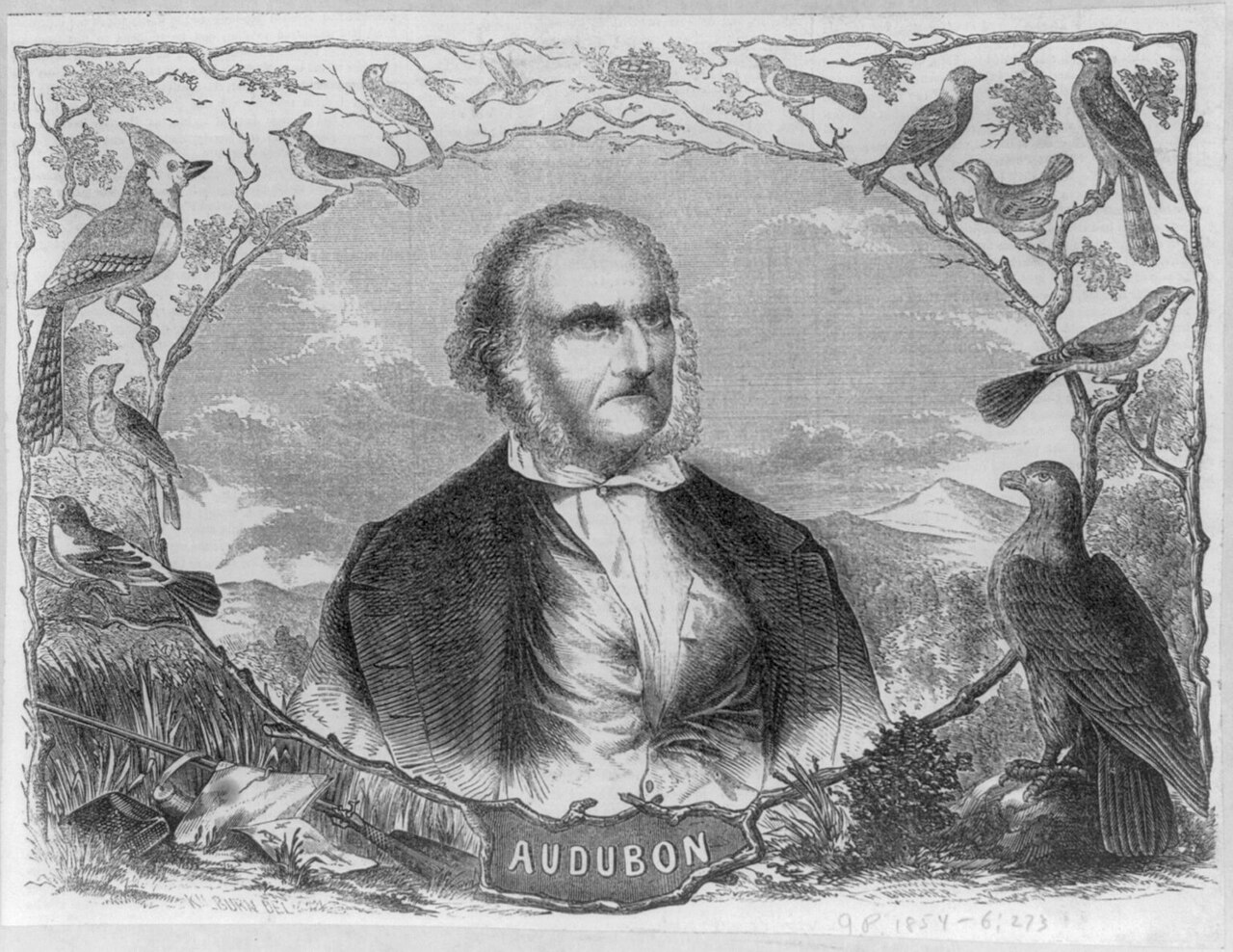 Portrait commémoratif d'Audubon entouré de vignettes d'oiseaux